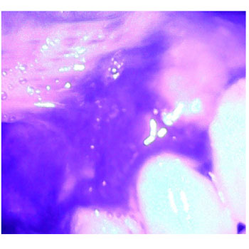 MicrosoftTeams-image (20)