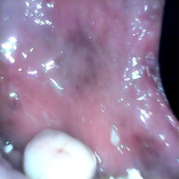 MicrosoftTeams-image (21)