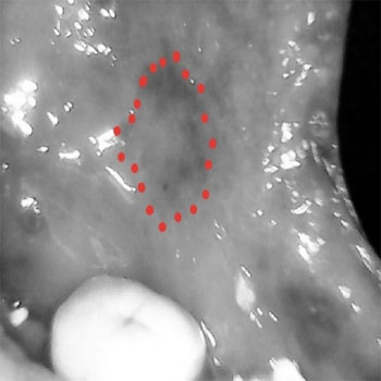 MicrosoftTeams-image (22)