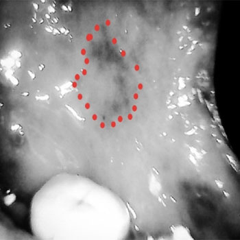 MicrosoftTeams-image (23)