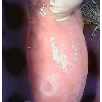 MicrosoftTeams-image (25)