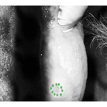 MicrosoftTeams-image (26)