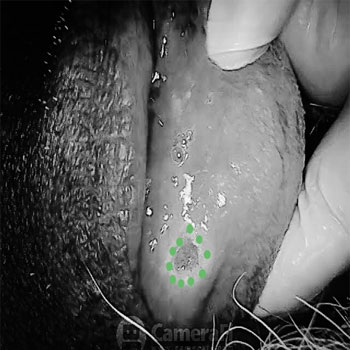 MicrosoftTeams-image (27)