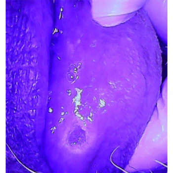 MicrosoftTeams-image (28)