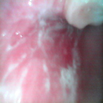 MicrosoftTeams-image (29)