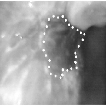 MicrosoftTeams-image (30)