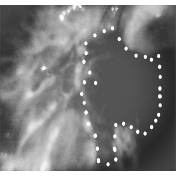 MicrosoftTeams-image (32)