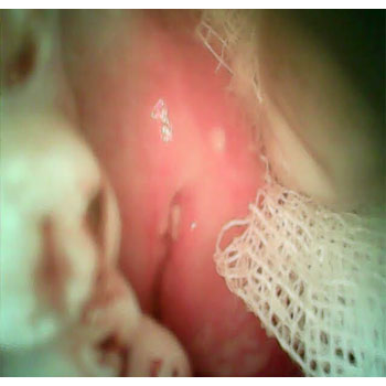 MicrosoftTeams-image (33)