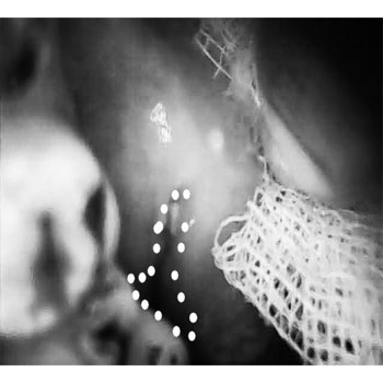 MicrosoftTeams-image (34)