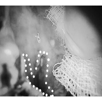 MicrosoftTeams-image (36)